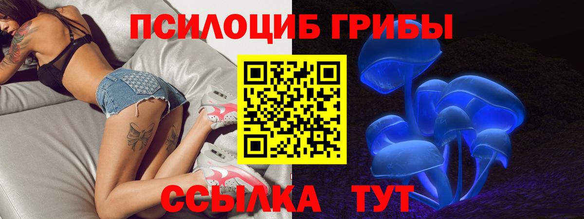 где купить   Вход с VPN  Бузулук  Псилоцибиновые грибы Psilocybe 